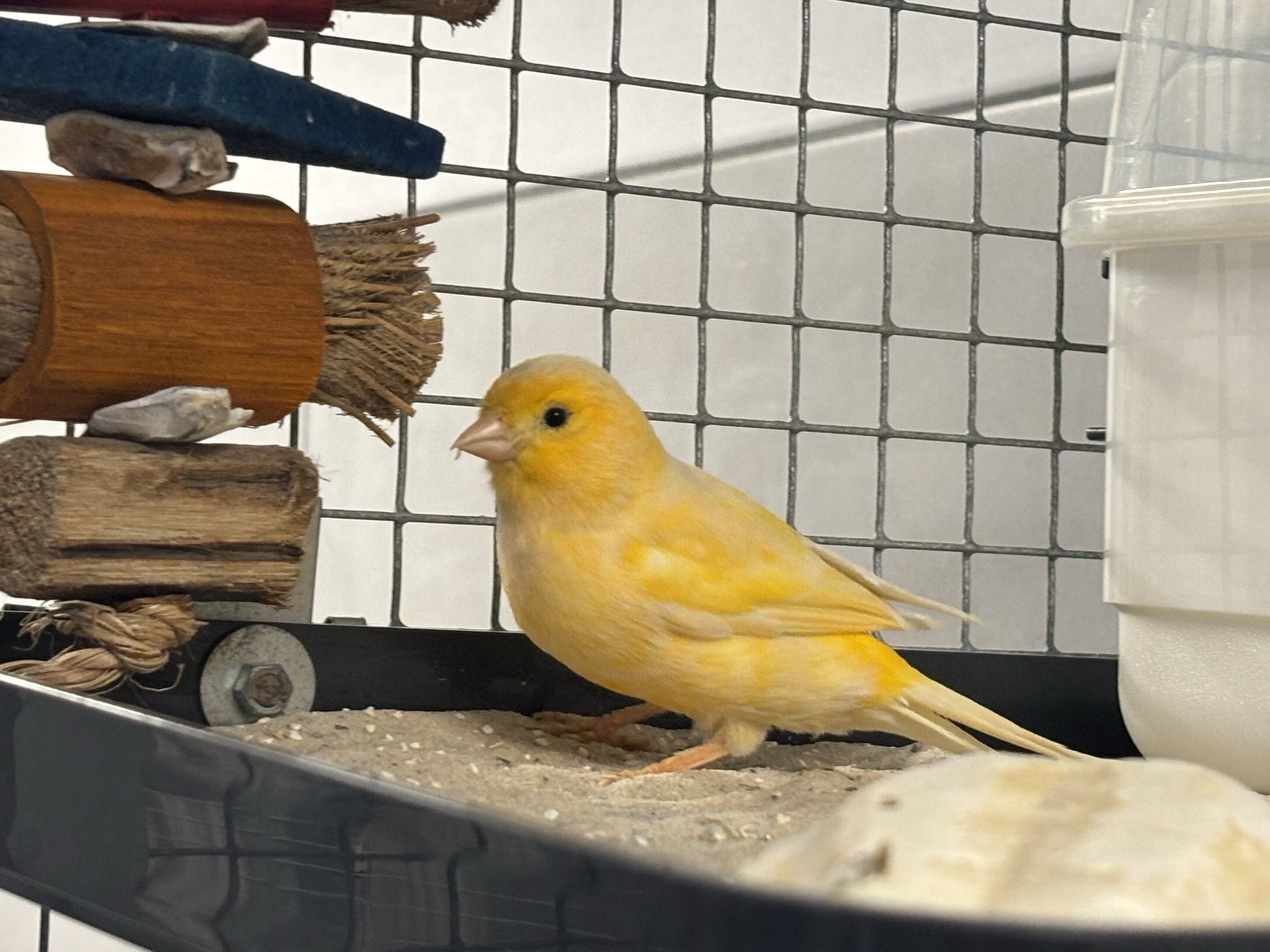 WhatsApp Image 2025-12-10 at 16.06.38 (2).jpeg